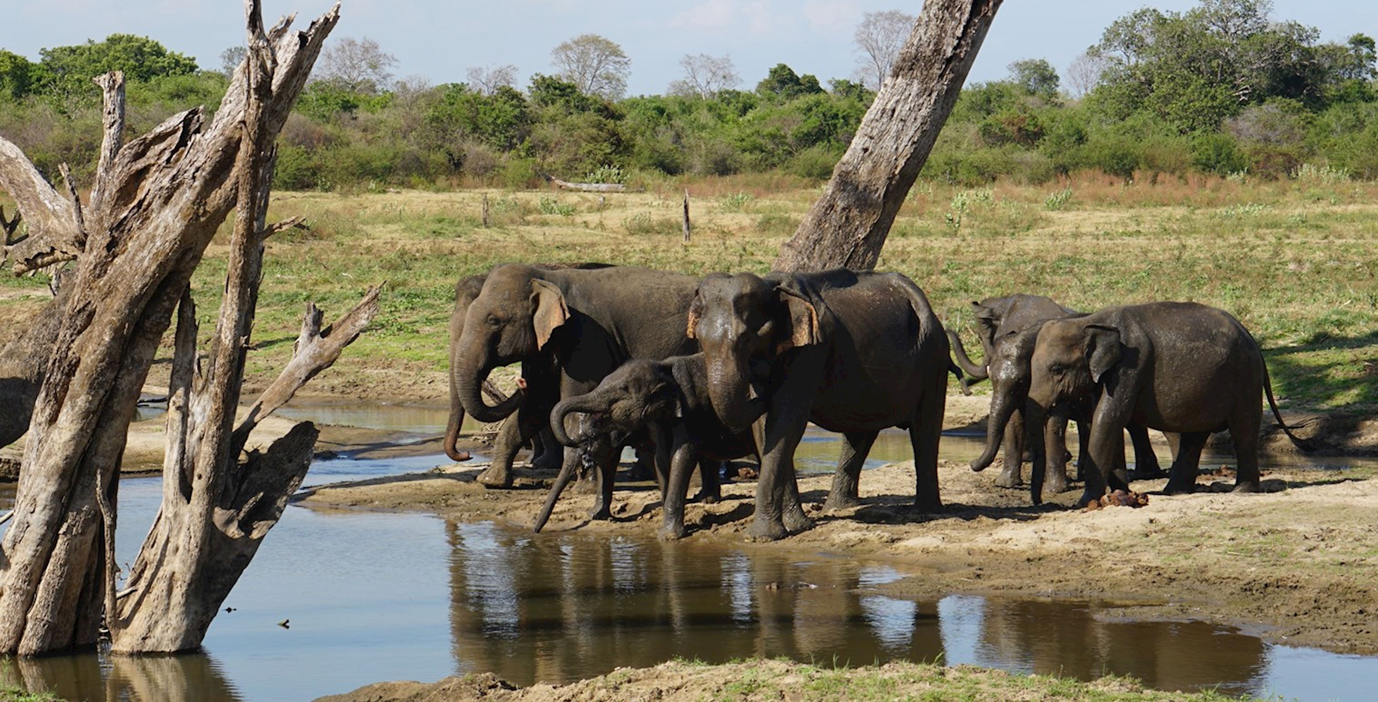 Udawalawe